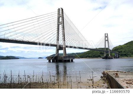 伊唐大橋とその周辺の風景　伊唐島　長島町　出水郡　鹿児島県 116693570