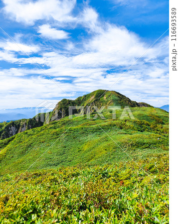 夏の雨飾山登山(笹平と雨飾山山頂) 夏の雨飾山登山(笹平と雨飾山山頂) 116693589