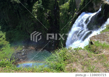 鹿児島の雄川の滝	 116693723