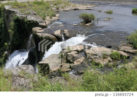 鹿児島の雄川の滝 鹿児島の雄川の滝 116693724
