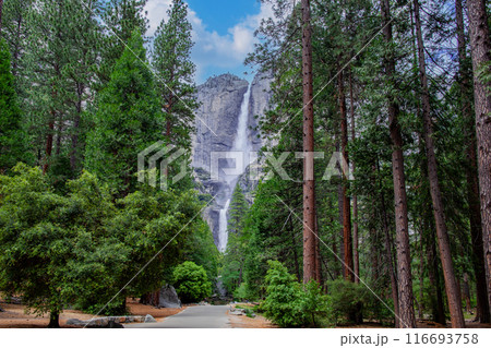 ヨセミテ国立公園 116693758
