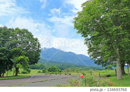 夏の黒姫高原 夏の黒姫高原 116693768