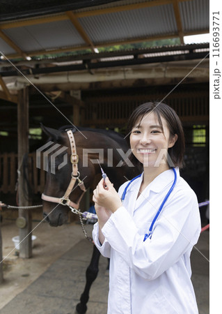 馬を診察する獣医さん 116693771