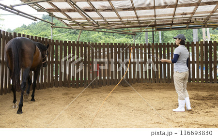 馬のお世話をする女性 116693830