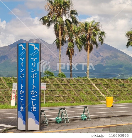 桜島とマリンポート鹿児島の風景 鹿児島市 鹿児島県 桜島とマリンポート鹿児島の風景 鹿児島市 鹿児島県 116693996