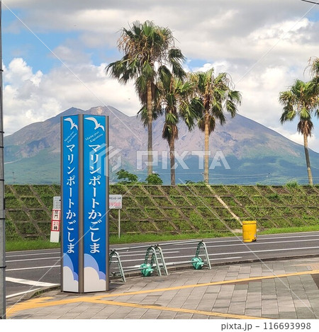 桜島とマリンポート鹿児島の風景　鹿児島市　鹿児島県 116693998