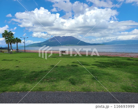 桜島とマリンポート鹿児島の風景 鹿児島市 鹿児島県 桜島とマリンポート鹿児島の風景 鹿児島市 鹿児島県 116693999