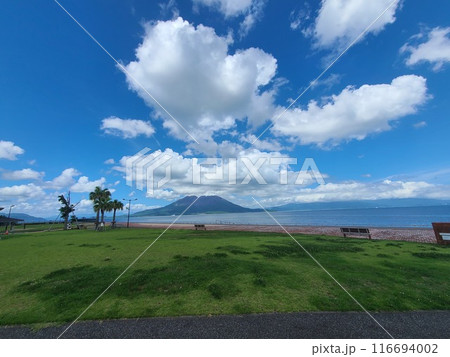桜島とマリンポート鹿児島の風景 鹿児島市 鹿児島県 桜島とマリンポート鹿児島の風景 鹿児島市 鹿児島県 116694002