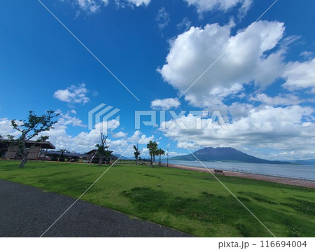 桜島とマリンポート鹿児島の風景 鹿児島市 鹿児島県 桜島とマリンポート鹿児島の風景 鹿児島市 鹿児島県 116694004