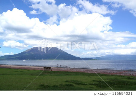 桜島とマリンポート鹿児島の風景 鹿児島市 鹿児島県 桜島とマリンポート鹿児島の風景 鹿児島市 鹿児島県 116694021