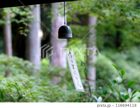 風鈴のある風景 風鈴のある風景 116694118