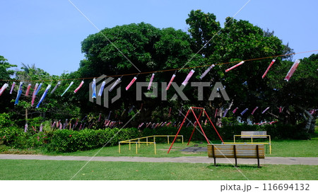石垣島の公園とこいのぼり 116694132
