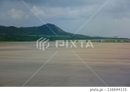 新石垣島空港の滑走路と着陸する旅客機 新石垣島空港の滑走路と着陸する旅客機 116694133