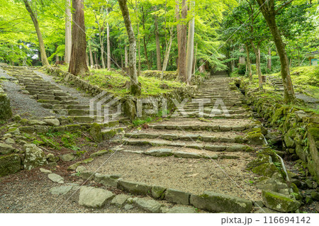 滋賀県東近江市 新緑の百済寺本坊から本堂への石段の弥勒坂との分かれ道 滋賀県東近江市 新緑の百済寺本坊から本堂への石段の弥勒坂との分かれ道 116694142