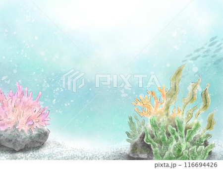美しい神秘的な海の中の水彩タッチイラスト 116694426