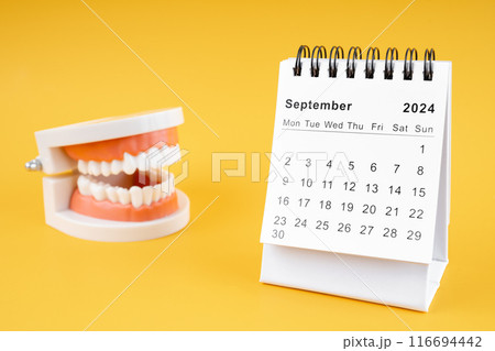 Desk calendar September 2024 and tooth model on yellow background3 116694442