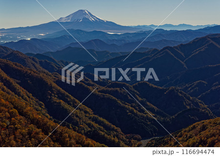 丹沢・塔ノ岳から見る月明かりの富士山 116694474