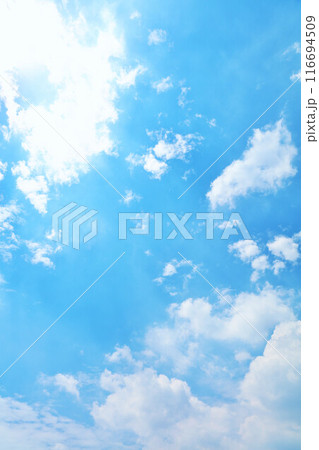 秋の青空と雲 116694509