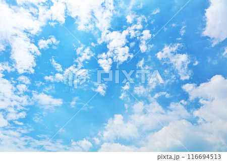 秋の青空と雲 秋の青空と雲 116694513