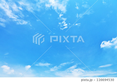 秋の青空と雲 116694530