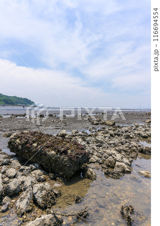 海の中へひたすらつづく道から観える風景 観光スポット 長部田海床路(ながべたかいしょうろ)宇土市住吉 海の中へひたすらつづく道から観える風景 観光スポット 長部田海床路(ながべたかいしょうろ)宇土市住吉 116694554
