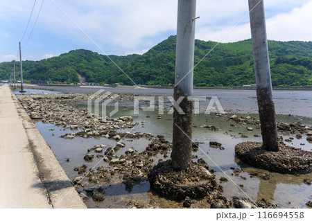 海の中へひたすらつづく道から観える風景 観光スポット 長部田海床路(ながべたかいしょうろ)宇土市住吉 海の中へひたすらつづく道から観える風景 観光スポット 長部田海床路(ながべたかいしょうろ)宇土市住吉 116694558