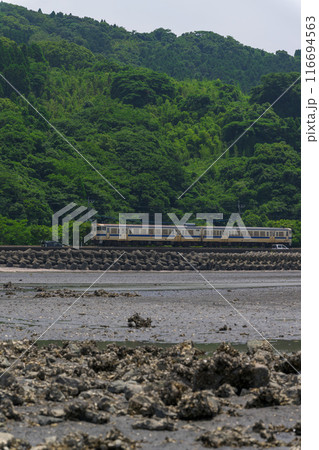 海の中へひたすらつづく道から観える風景 観光スポット 長部田海床路(ながべたかいしょうろ)宇土市住吉 海の中へひたすらつづく道から観える風景 観光スポット 長部田海床路(ながべたかいしょうろ)宇土市住吉 116694563
