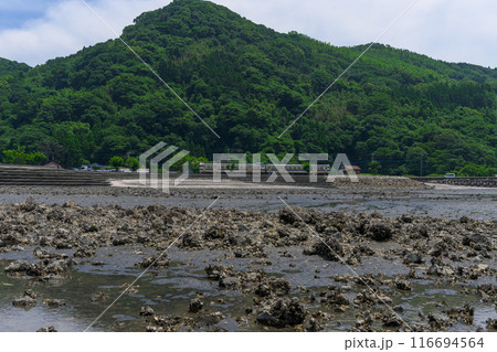 海の中へひたすらつづく道から観える風景　観光スポット　長部田海床路（ながべたかいしょうろ）宇土市住吉 116694564