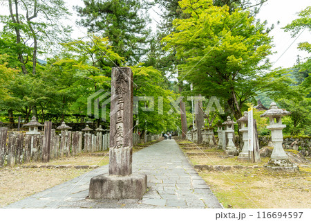 岐阜県揖斐川町　新緑の谷汲山華厳寺灯籠の立ち並ぶ参道入り口にある三十三度石 116694597