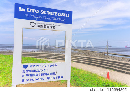 顔ハメ看板(かおハメかんばん)長部田海床路(ながべたかいしょうろ)宇土市住吉  顔ハメ看板(かおハメかんばん)長部田海床路(ながべたかいしょうろ)宇土市住吉 116694865