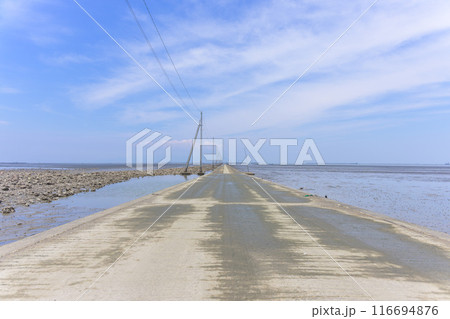 海の中へひたすらつづく道から観える風景　観光スポット　長部田海床路（ながべたかいしょうろ）宇土市住吉 116694876