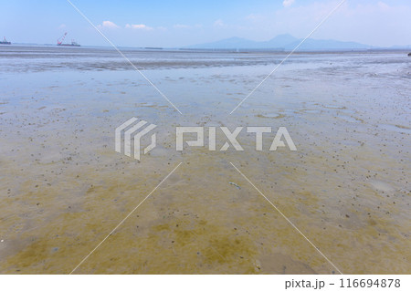 海の中へひたすらつづく道から観える風景 観光スポット 長部田海床路(ながべたかいしょうろ)宇土市住吉 海の中へひたすらつづく道から観える風景 観光スポット 長部田海床路(ながべたかいしょうろ)宇土市住吉 116694878