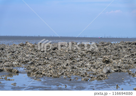 海の中へひたすらつづく道から観える風景　観光スポット　長部田海床路（ながべたかいしょうろ）宇土市住吉 116694880