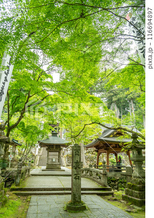 岐阜県揖斐川町　新緑の谷汲山華厳寺の参道にある百度石 116694897