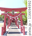 公園の稲荷さま 116694992