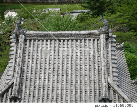 松本城の辰巳附櫓（長野：松本） 116695099