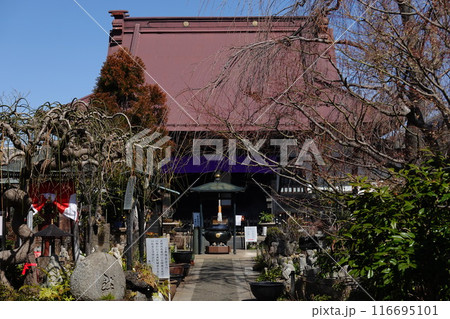 常泉寺 常泉寺 116695101