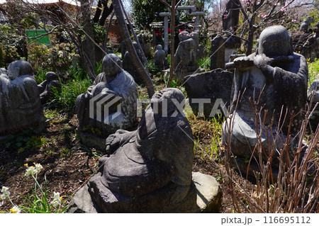 常泉寺 116695112
