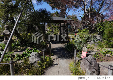 常泉寺 常泉寺 116695127