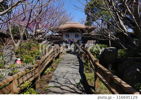 常泉寺 常泉寺 116695129