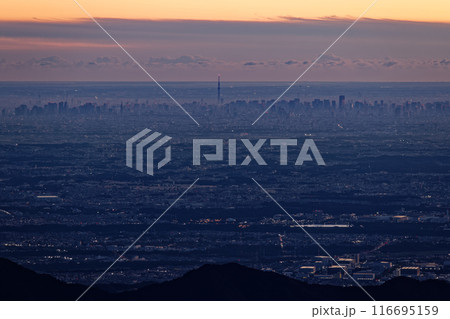 丹沢・塔ノ岳から夜明けの都心のビル群と東京スカイツリー 116695159