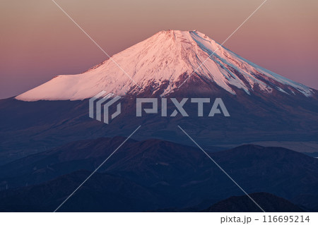 丹沢・塔ノ岳から朝焼けの富士山 丹沢・塔ノ岳から朝焼けの富士山 116695214