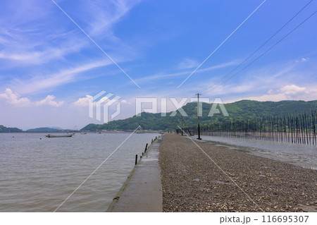 海の中へひたすらつづく道から観える風景　観光スポット　長部田海床路（ながべたかいしょうろ）宇土市住吉 116695307