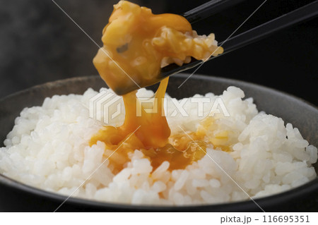 卵かけご飯　箸でご飯を持ち上げる　箸で黄身を潰す 116695351