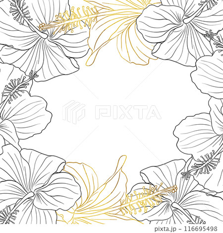 Hibiscus flower frame boarder for design of card, wedding invite, scrapbook. Line art black ink and golden hand drawn tropical floral background. 116695498