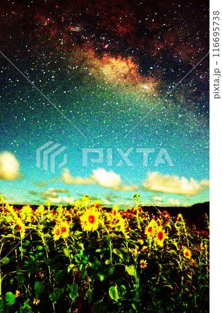 ひまわり畑と天の川銀河 116695738
