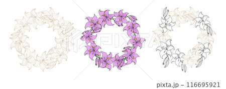 Lillie violet flower circle wreath set for wedding card or invitations. Hand drawn vector illustration template 116695921