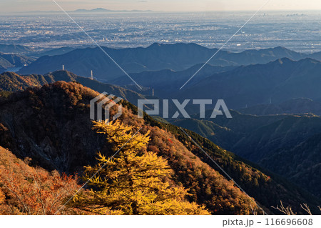 丹沢・塔ノ岳から見る紅葉の山並みと関東平野・筑波山 丹沢・塔ノ岳から見る紅葉の山並みと関東平野・筑波山 116696608