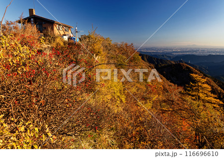 丹沢・塔ノ岳の紅葉と尊仏山荘・関東平野の眺め 116696610