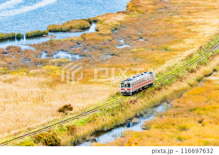 北海道 花咲線　秋色の別寒辺牛湿原を行く列車 116697632